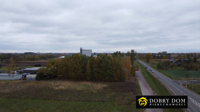 Działka 10055m2 Bielsk Podlaski - wnętrze 3