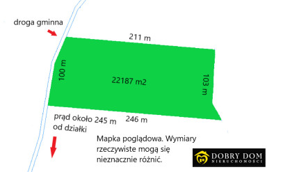 Działka 22187m2 Karakule - wnętrze 2