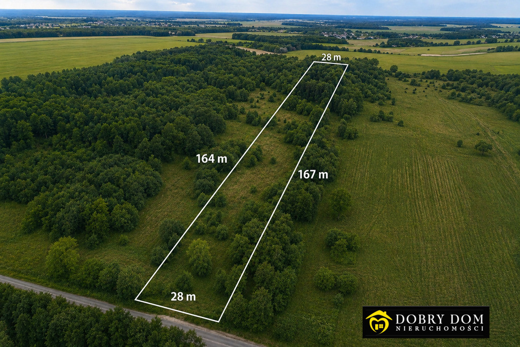 Działka 4647m2 Wólka Poduchowna - widok główny