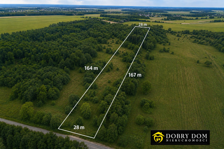 Działka Sprzedaż Wólka Poduchowna 1