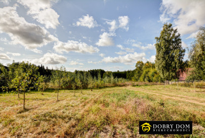 Dom 60m2 Słomianka - zdjęcie 6 z 17