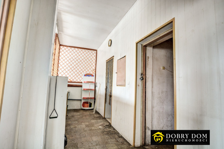 Lokal Sprzedaż Dasze 5