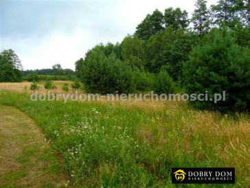 Działka Sprzedaż Niewodnica Kościelna