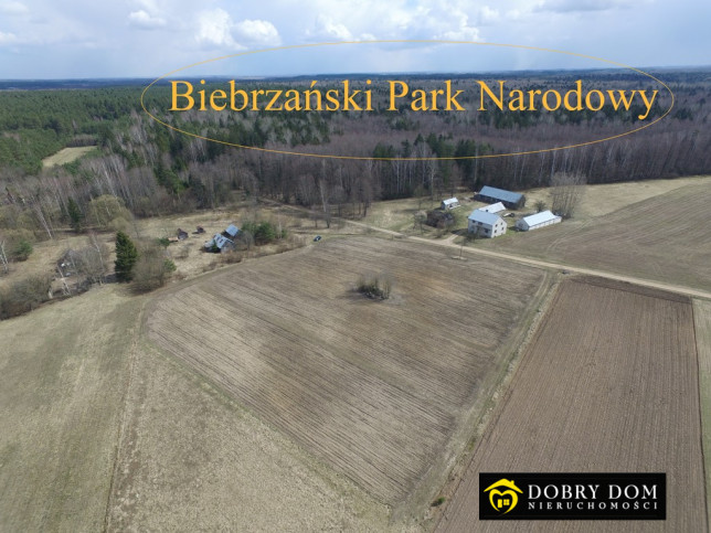 Działka Sprzedaż Trzyrzeczki 1