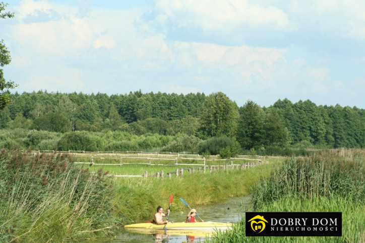 Działka Sprzedaż Białowieża 4