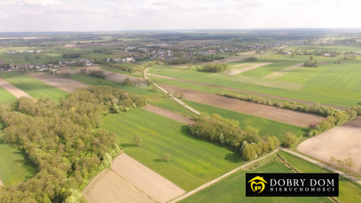 Działka Sprzedaż Krypno Kościelne