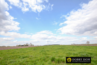 Działka 900m2 Knyszyn — zdjęcie od frontu