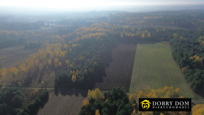 Działka Sprzedaż Wasilków