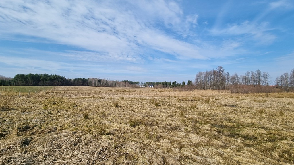 Działka — Skrybicze
