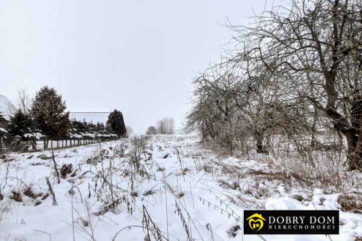 Dom Sprzedaż Dubno 5