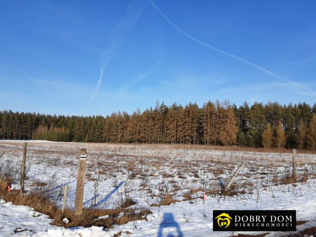 Działka Sprzedaż Serski Las 15
