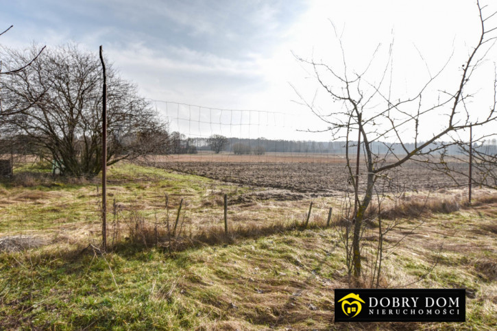 Dom Sprzedaż Nurzec-Stacja 11