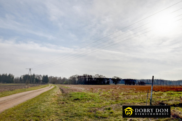 Dom Sprzedaż Nurzec-Stacja 15