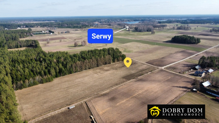 Działka Sprzedaż Serski Las 1