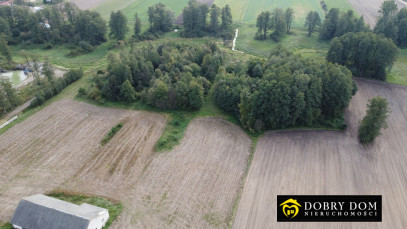 Dom Sprzedaż Krasowo Wielkie