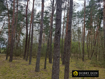 Działka Sprzedaż Hryniewicze Duże