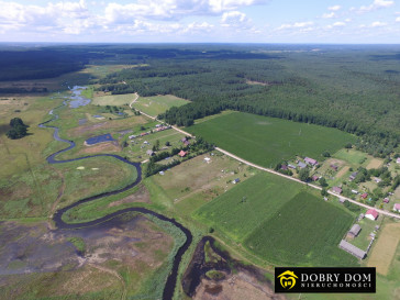 Działka Sprzedaż Borki