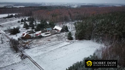 Działka Sprzedaż Istok