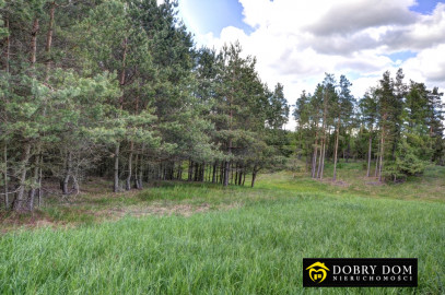 Działka 25000m2 Krasnopol - wnętrze 3